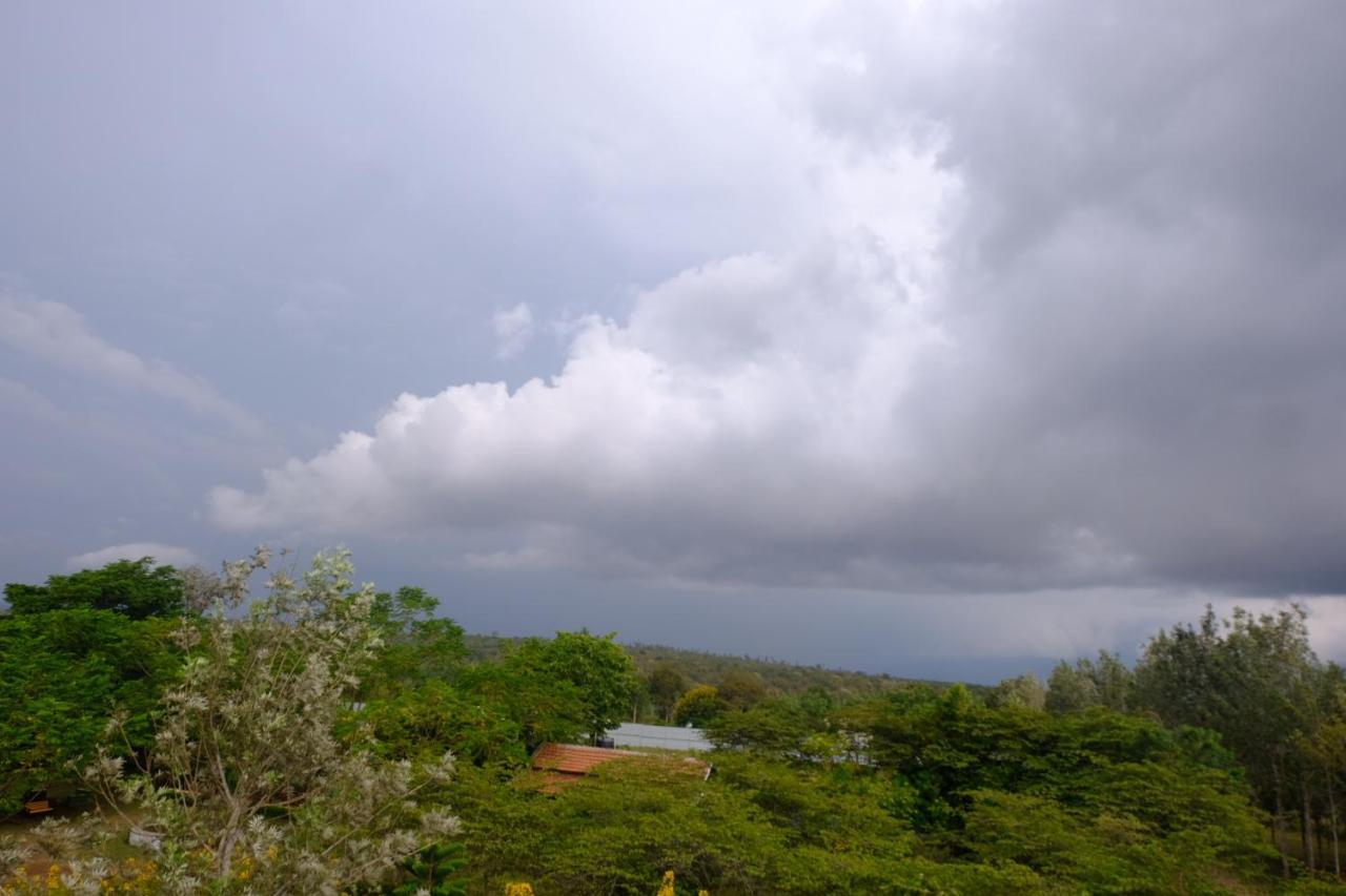 Chalets Resort Masinagudi Утакаманд Экстерьер фото