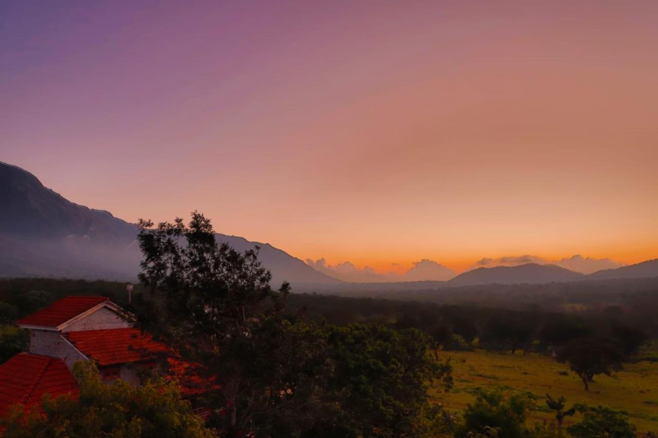 Chalets Resort Masinagudi Утакаманд Экстерьер фото