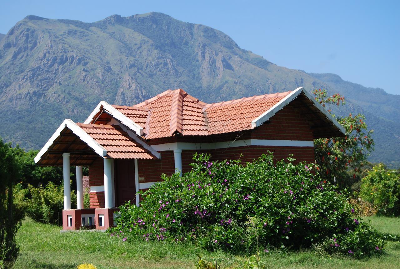 Chalets Resort Masinagudi Утакаманд Экстерьер фото